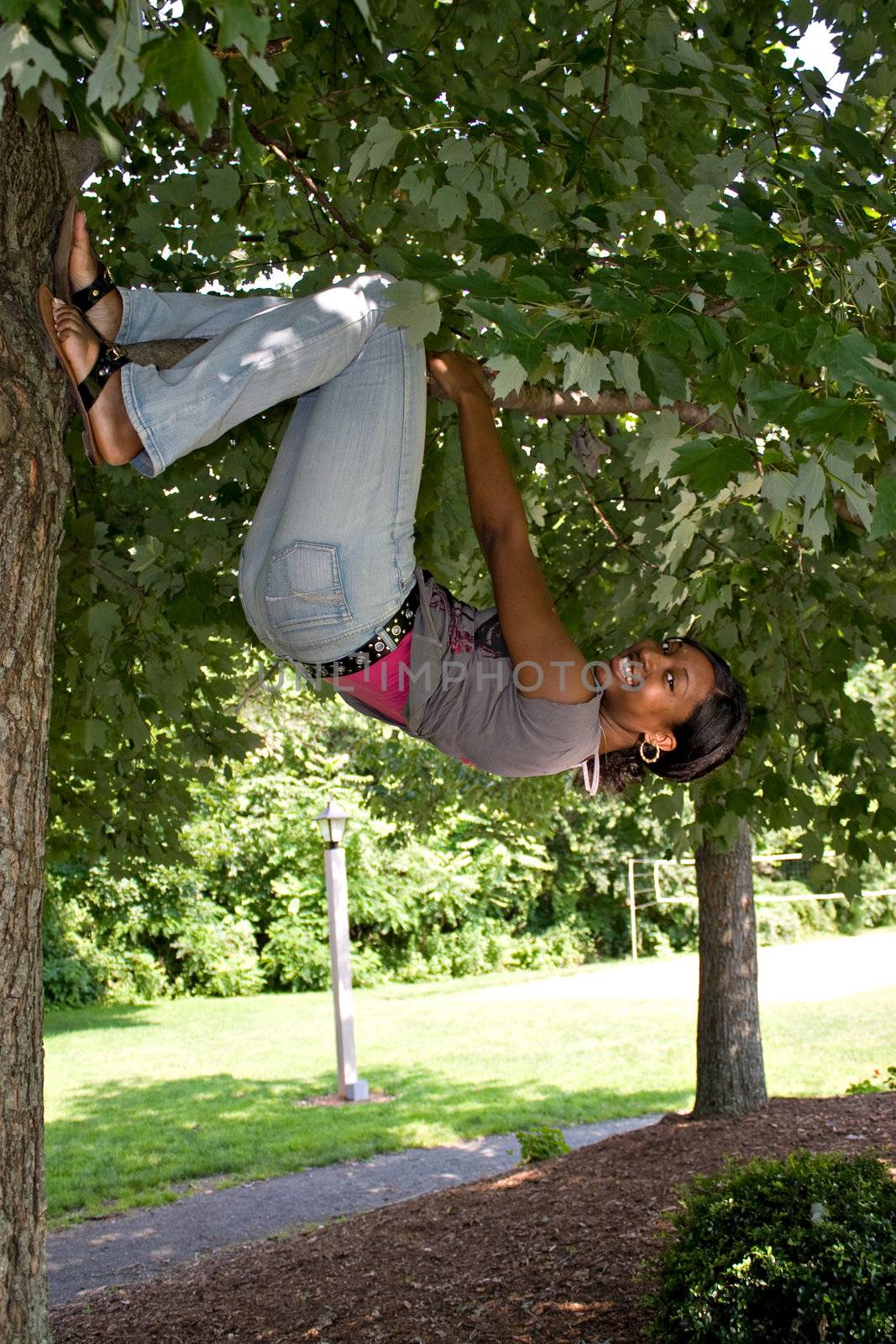 A pretty young woman playfully hangs from a tree limb.