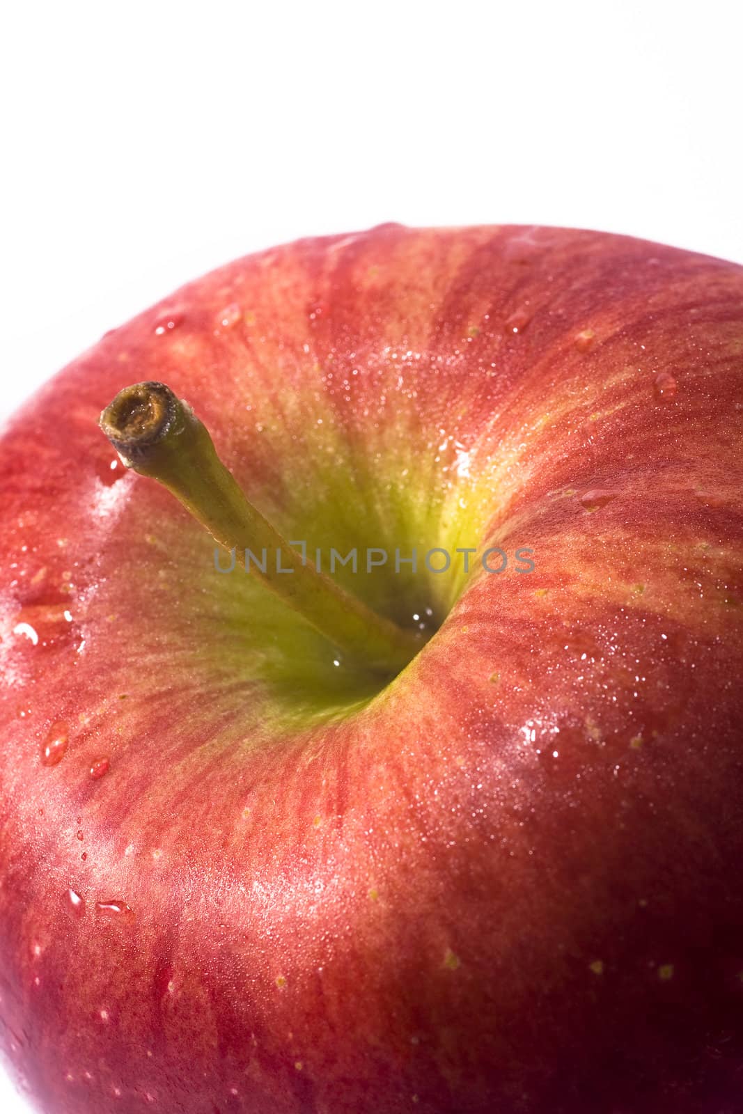 Red ripe apple on a white background for texture