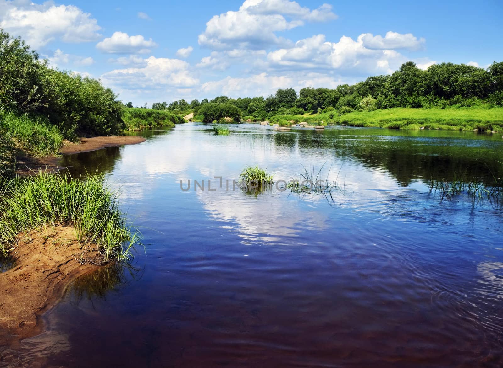 The midday river in summer day with green grass sandy islands