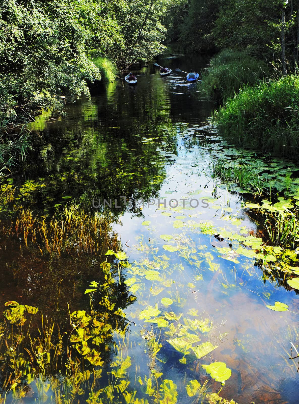 canoe travel on  the forest river with pure water