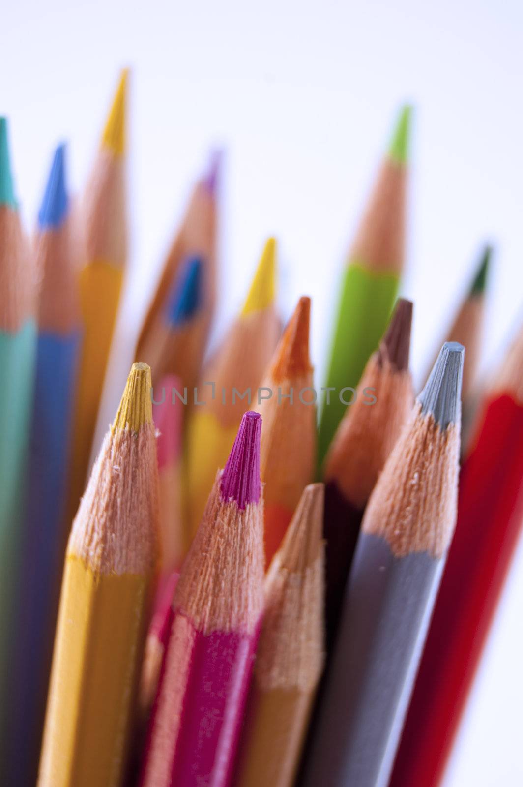 Close up of many colored pencils isolated