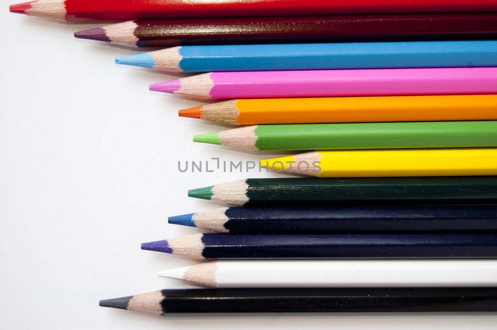 Close up of many colored pencils isolated