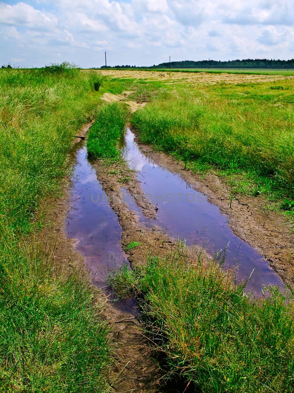 agriculture field dirty road with blue pools