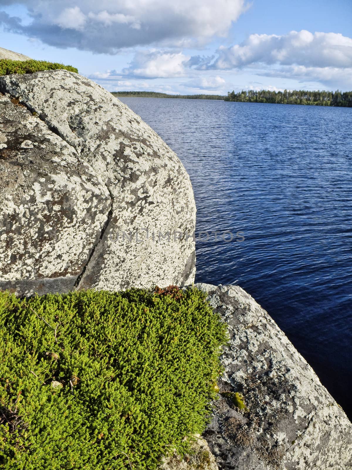 Rock grown with a moss on the bank of lake