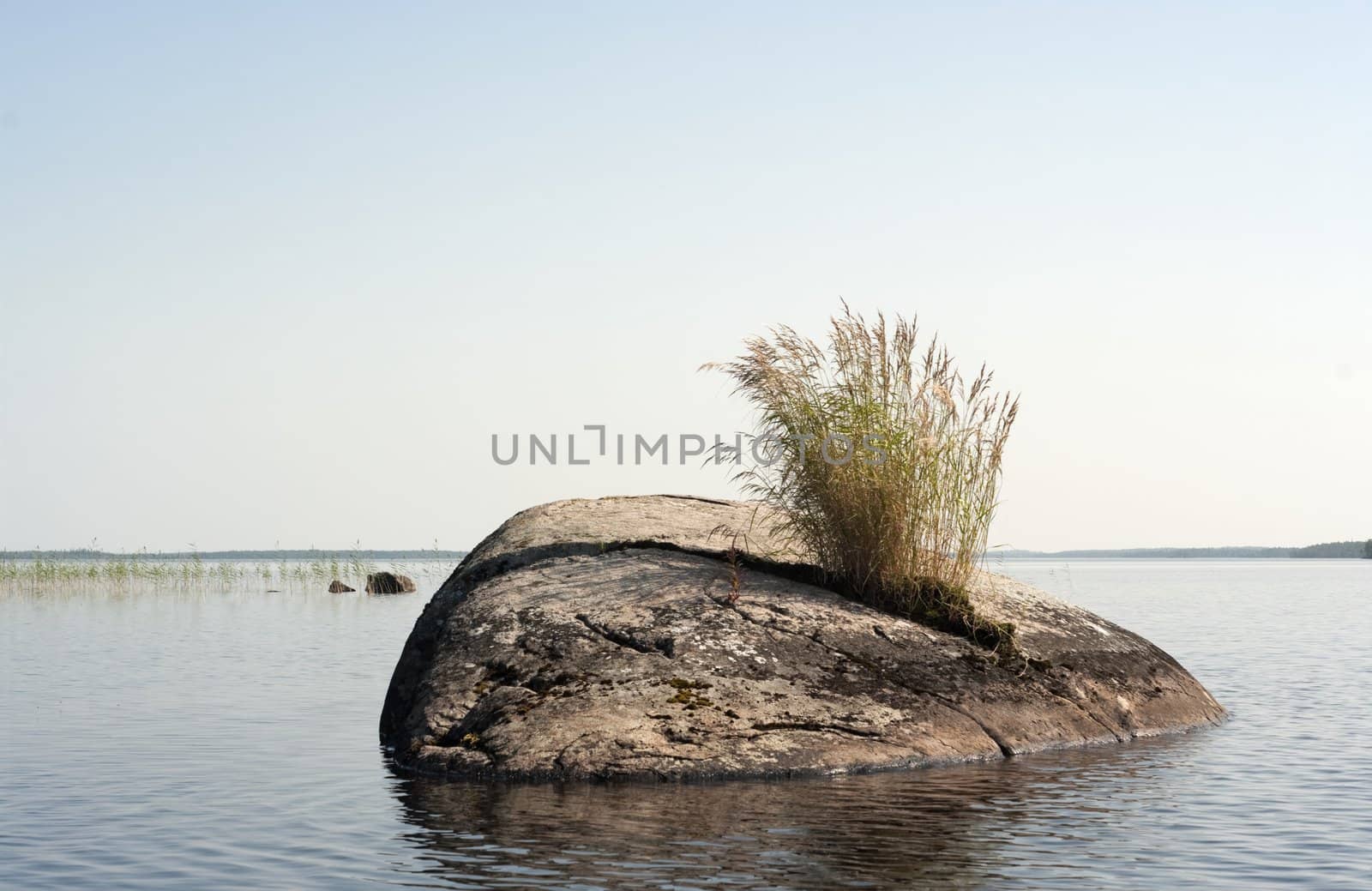 Small stone island with a grass bush on northern lake