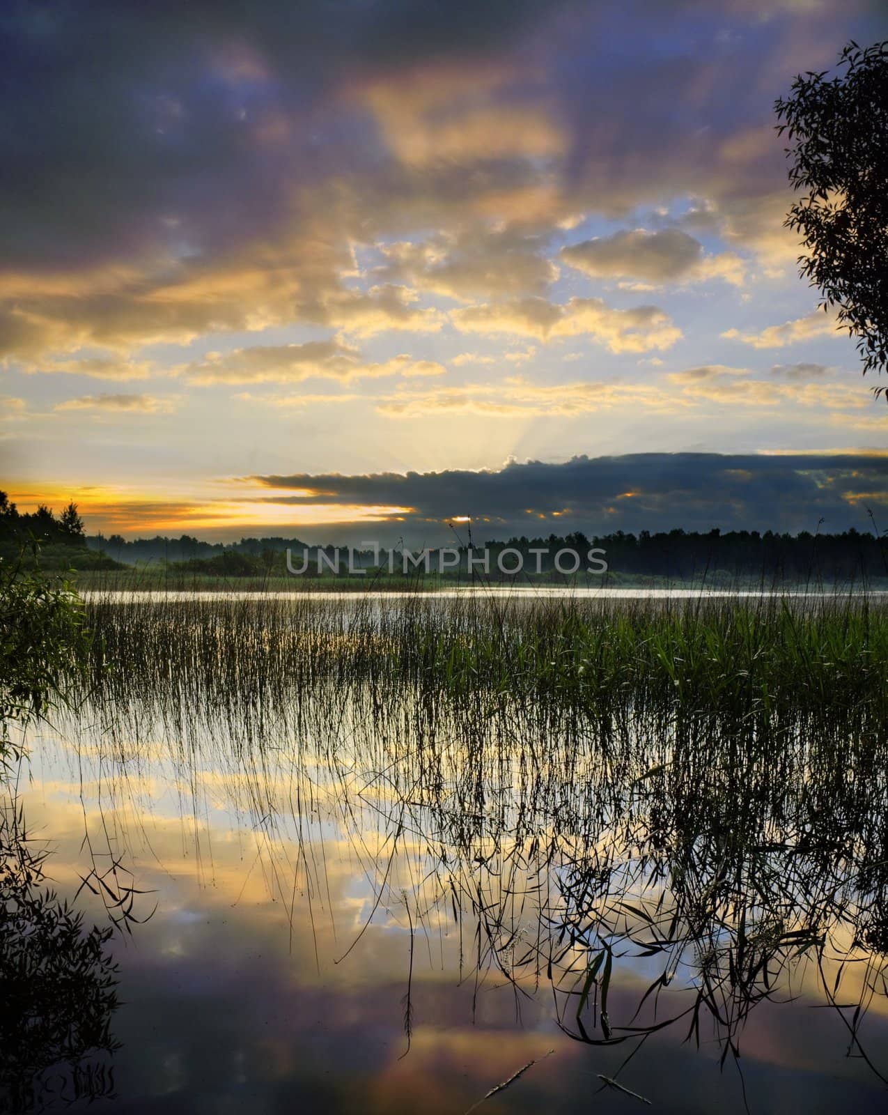 Silent dawn under pink clouds
