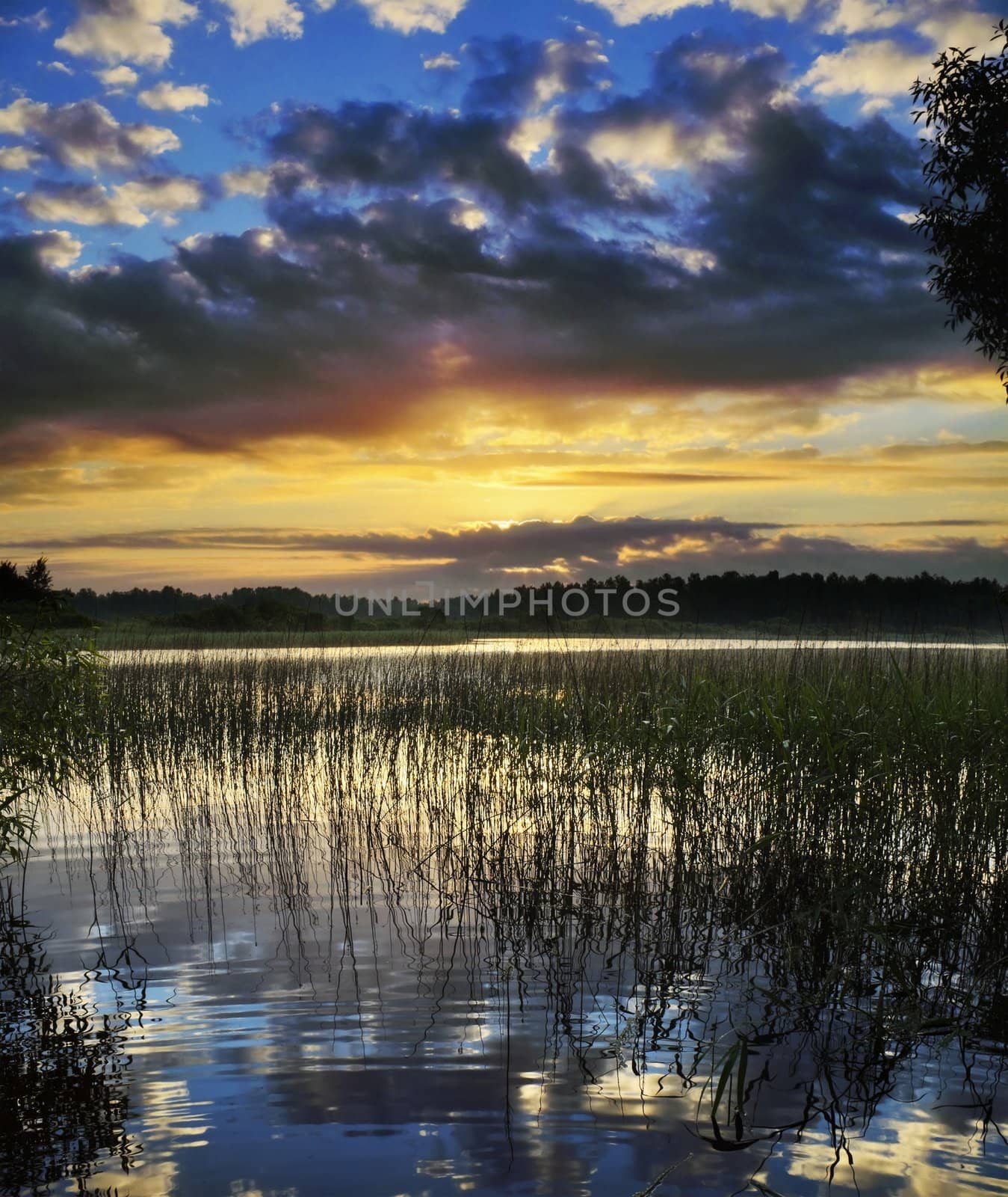 Silent cloudy sunrize on cane lake with reflexion in water