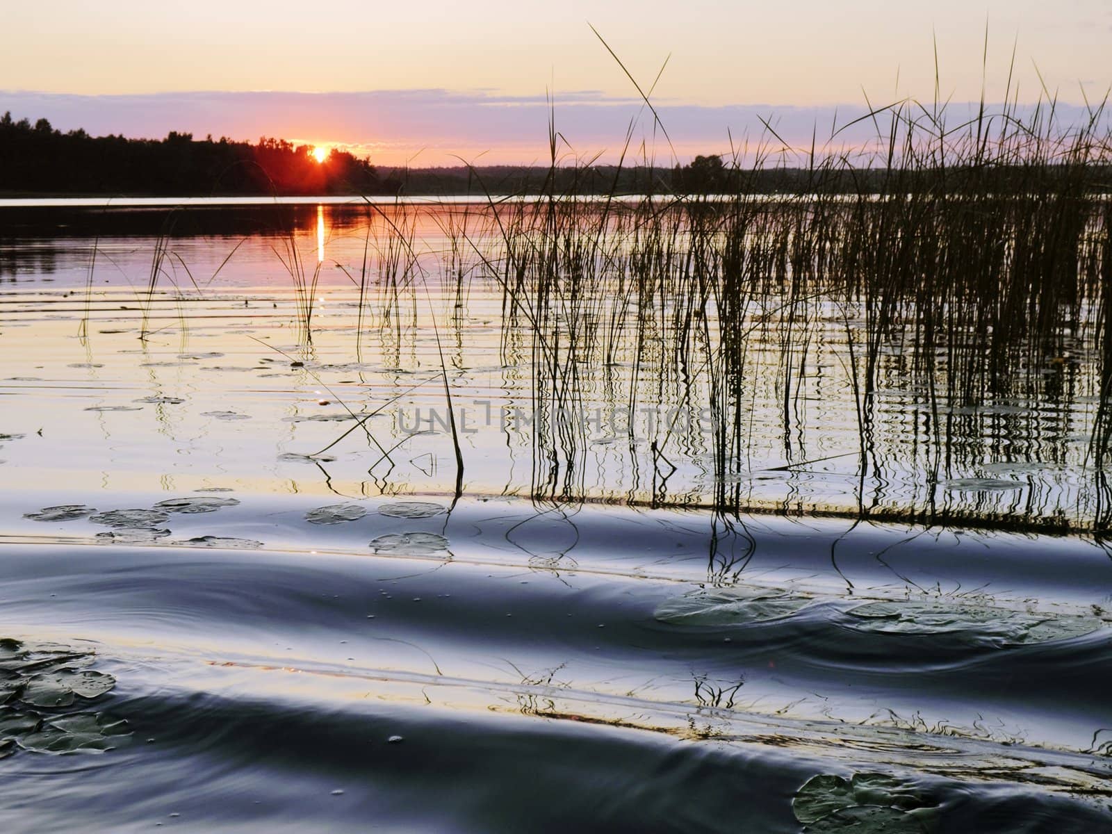 pink sunset on wave lake with cane