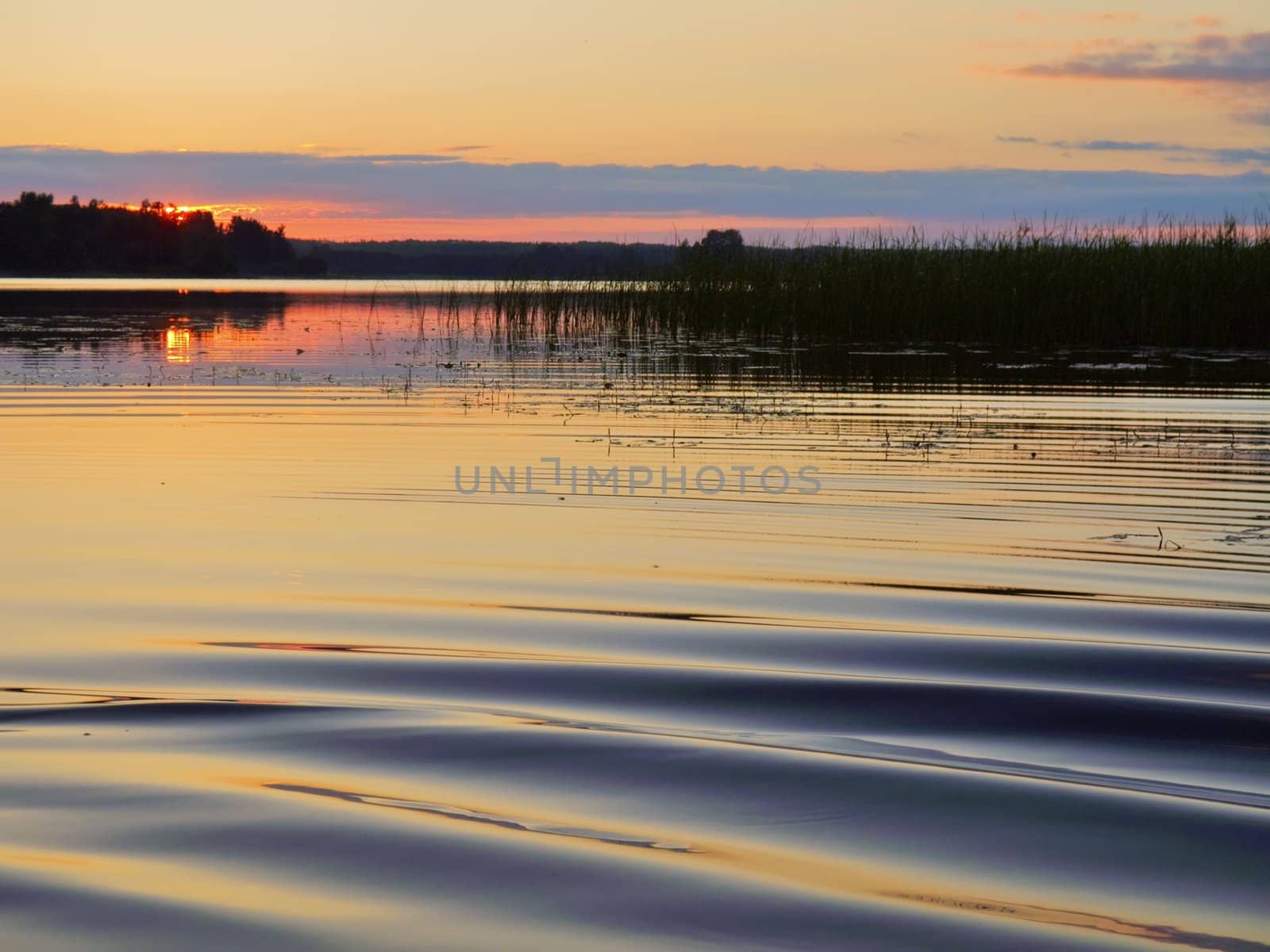 pink cloudy sunset on summer lake