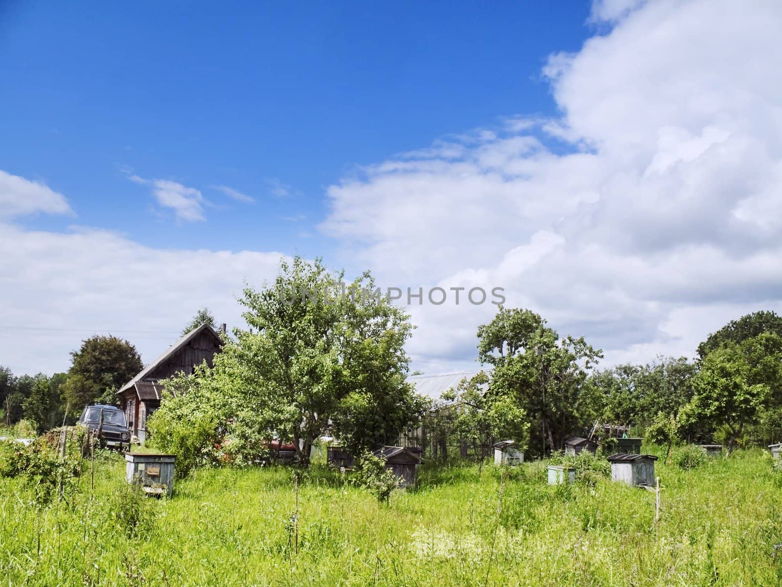 The sky and clouds above village in summer.