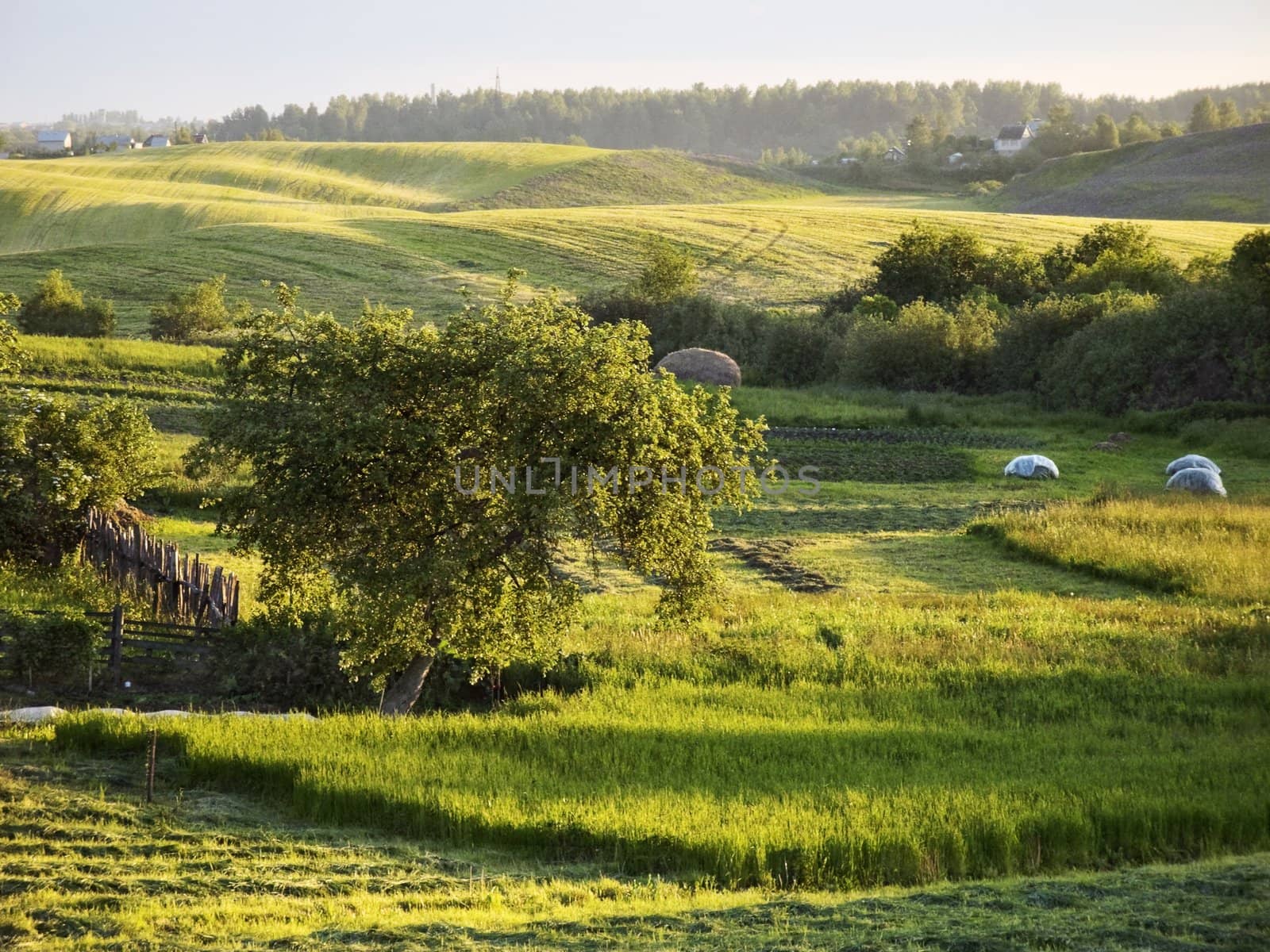 Belarus countryside at evening