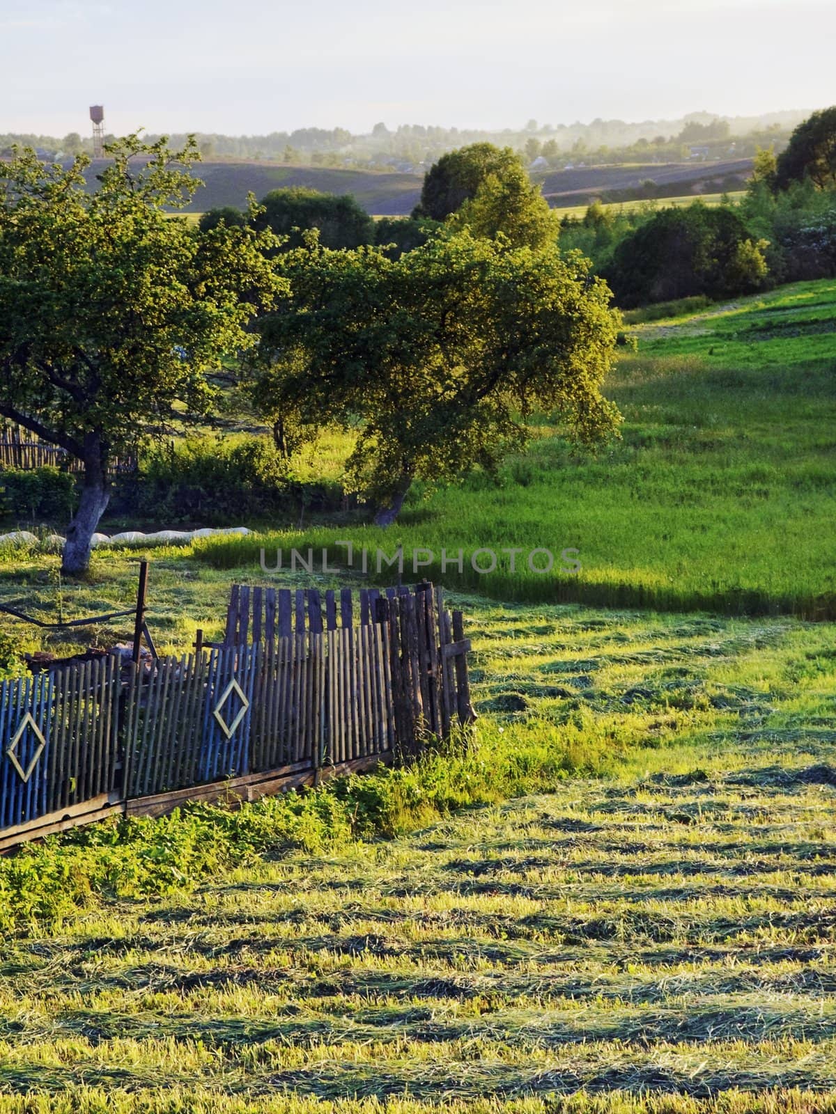 Belarus countryside at summer