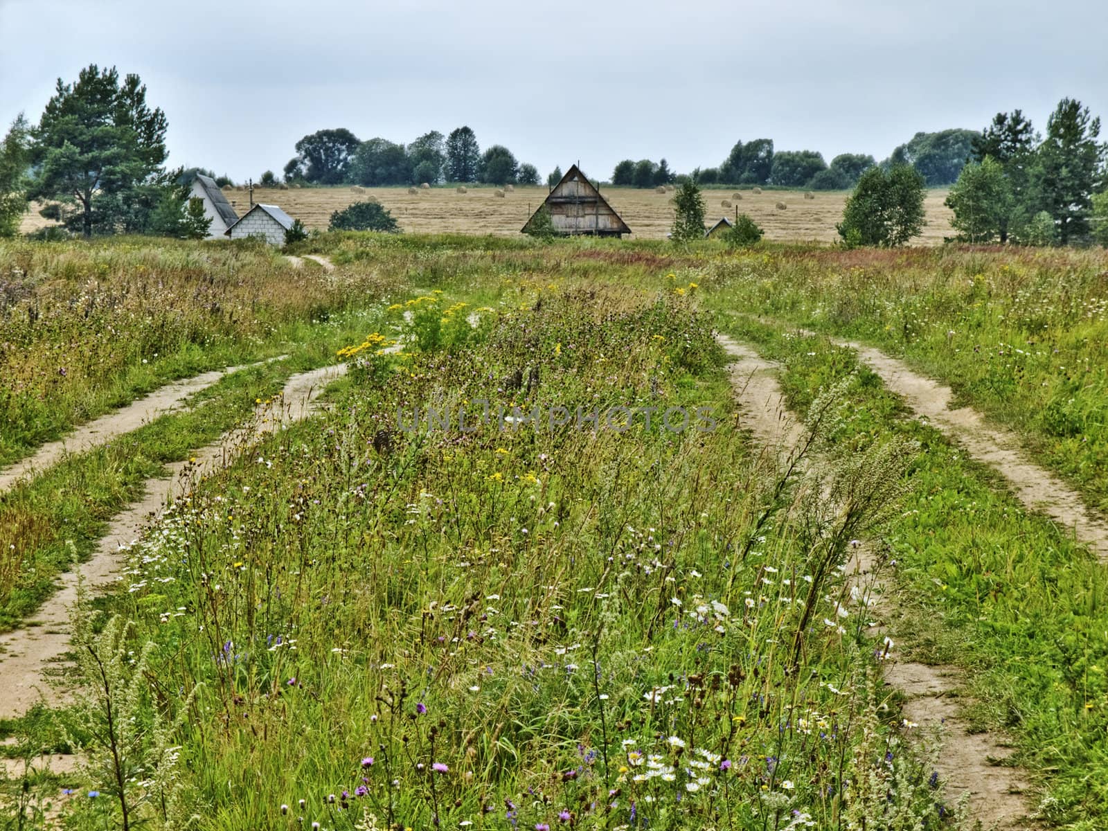 Village road in Belarus.