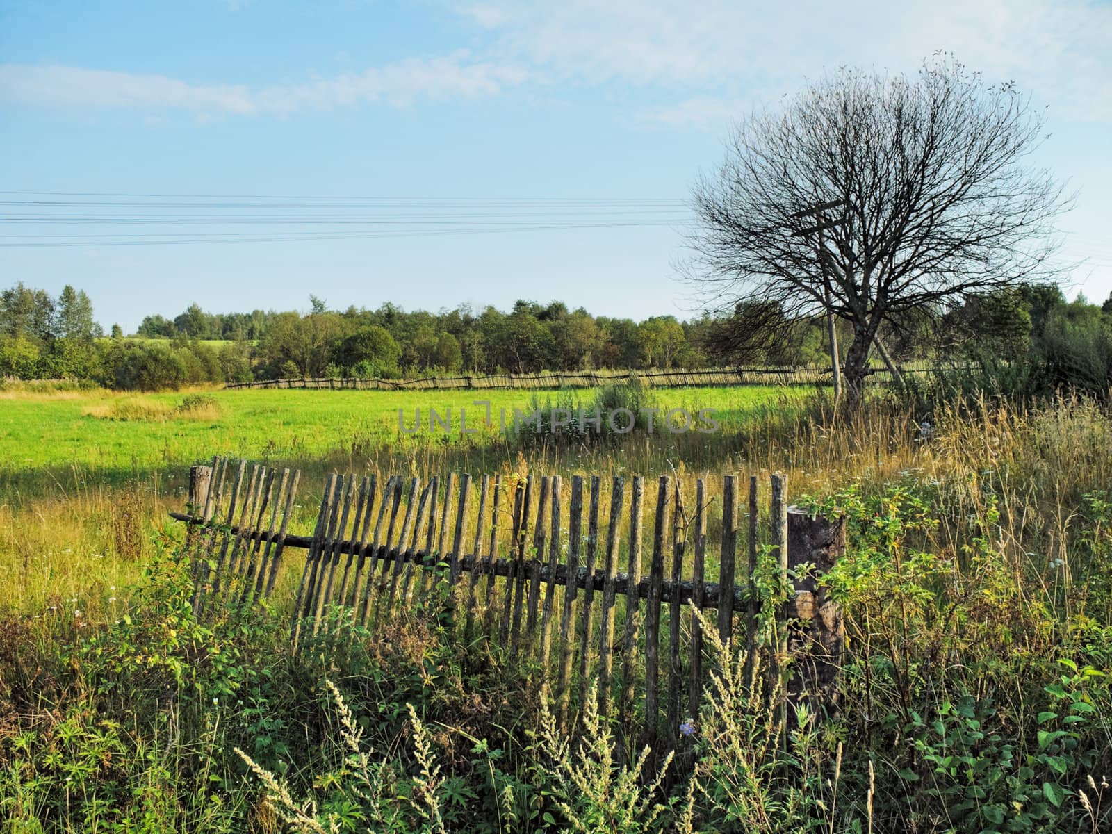 Old wooden poles fence  in village meadow