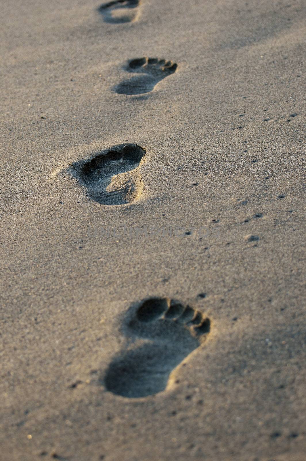 Footprint by cla78