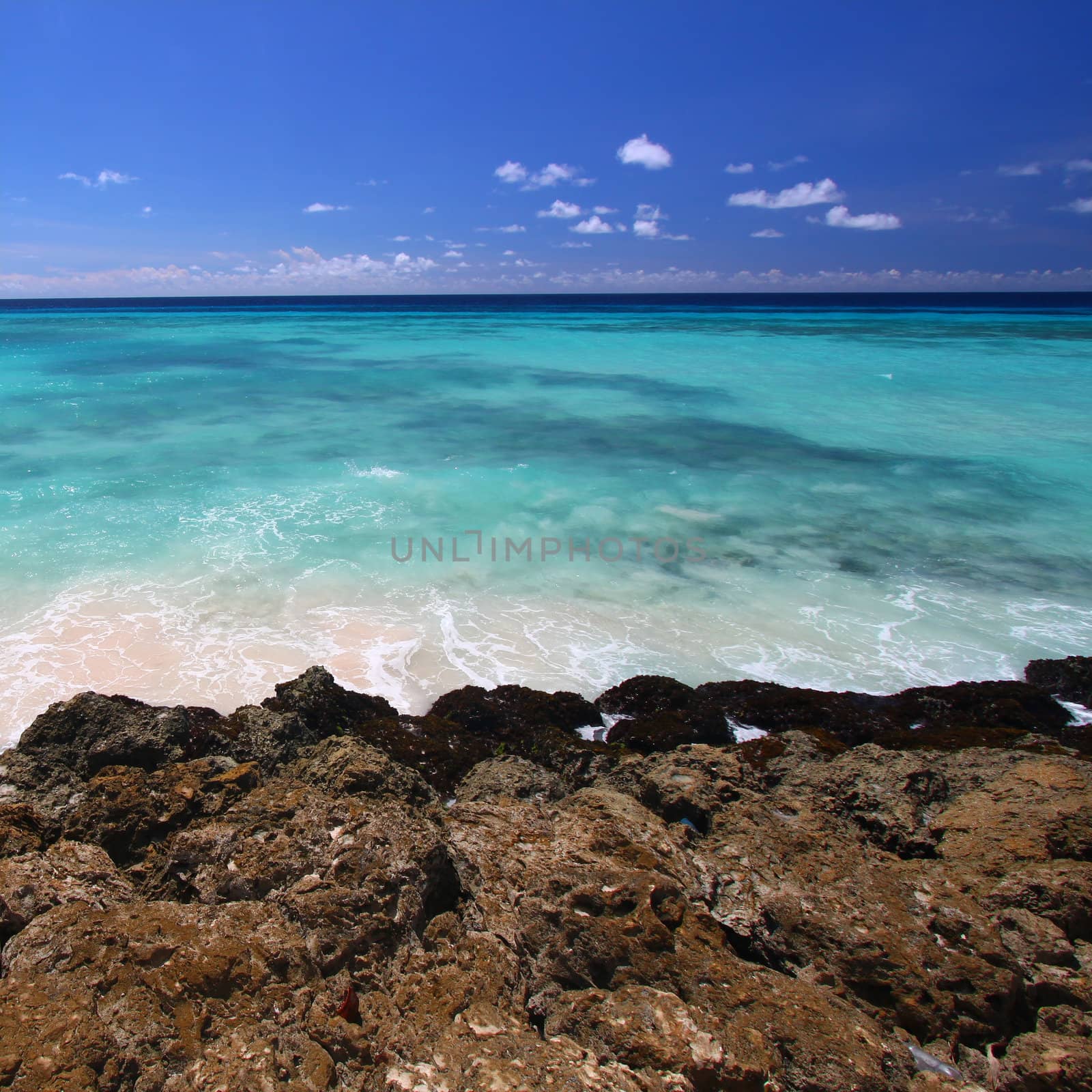 View of the Caribbean from the rocky coast of Barbados.