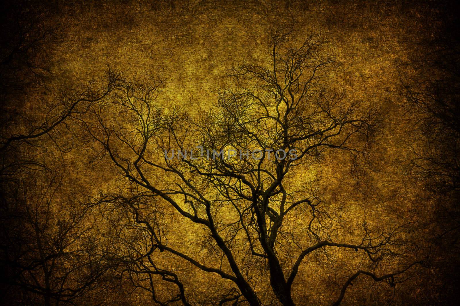 A grunge tree textured in the sky