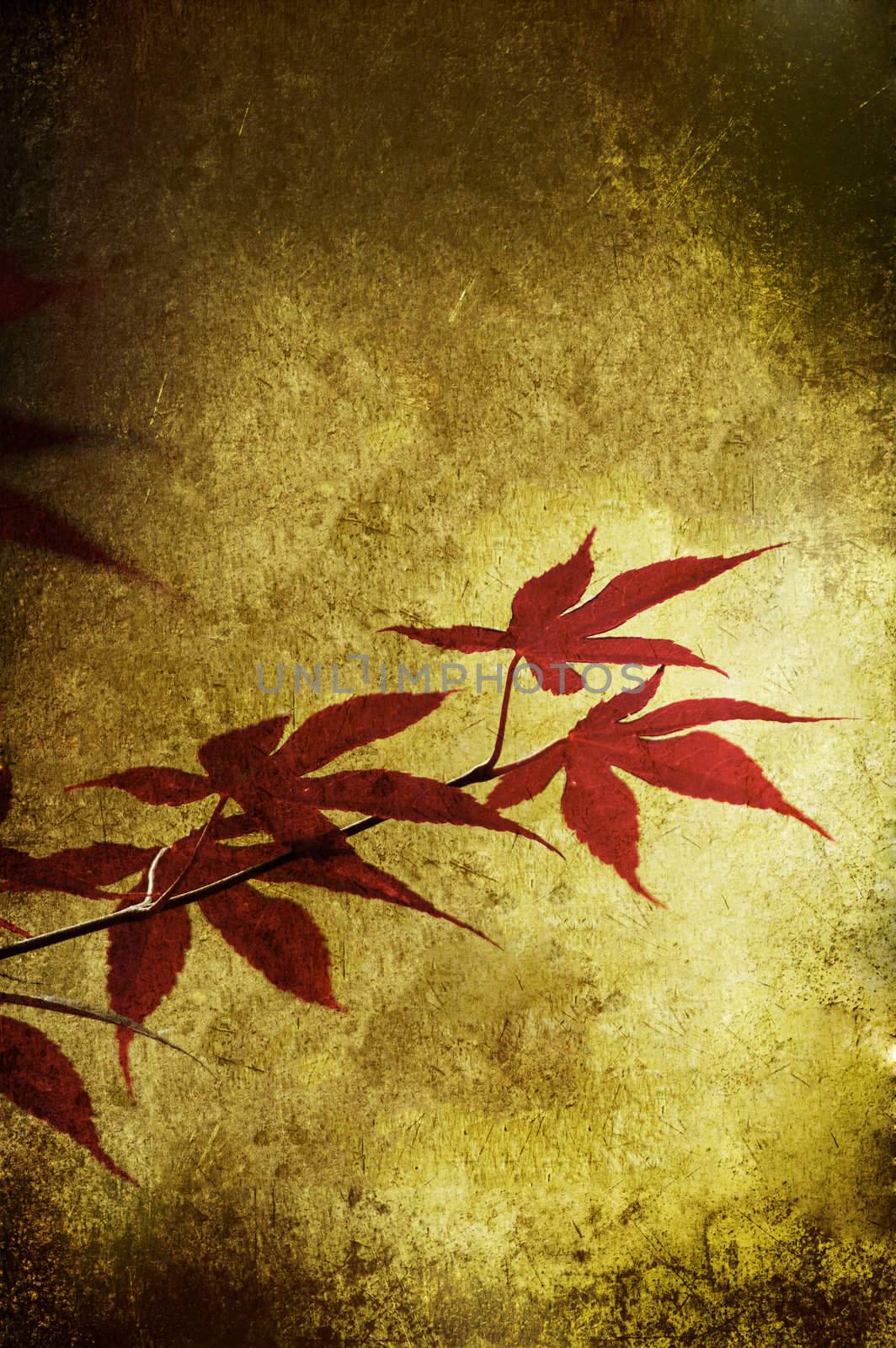Grunge red leaf isolated on a texture