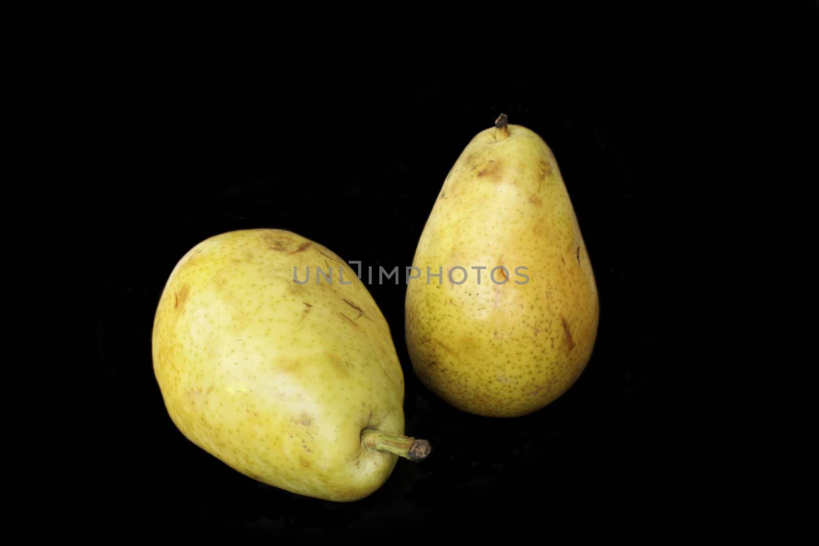 Two  ripe yellow pears in isolated over black background