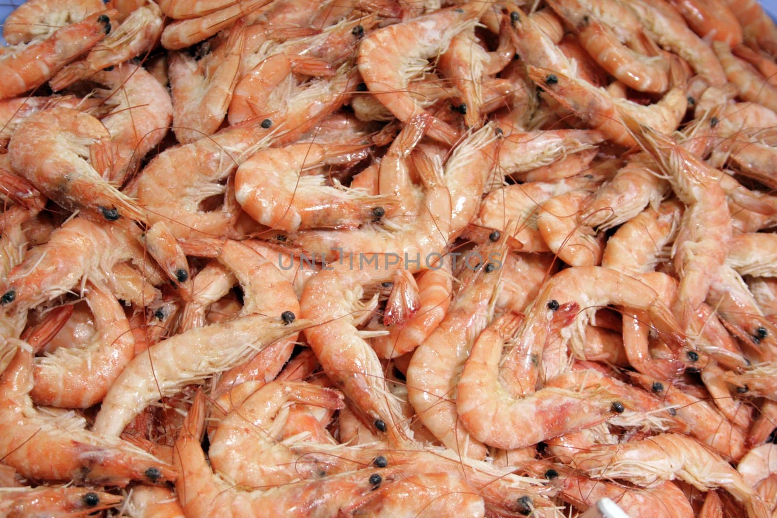 Prepared prawns on the counter of the market
