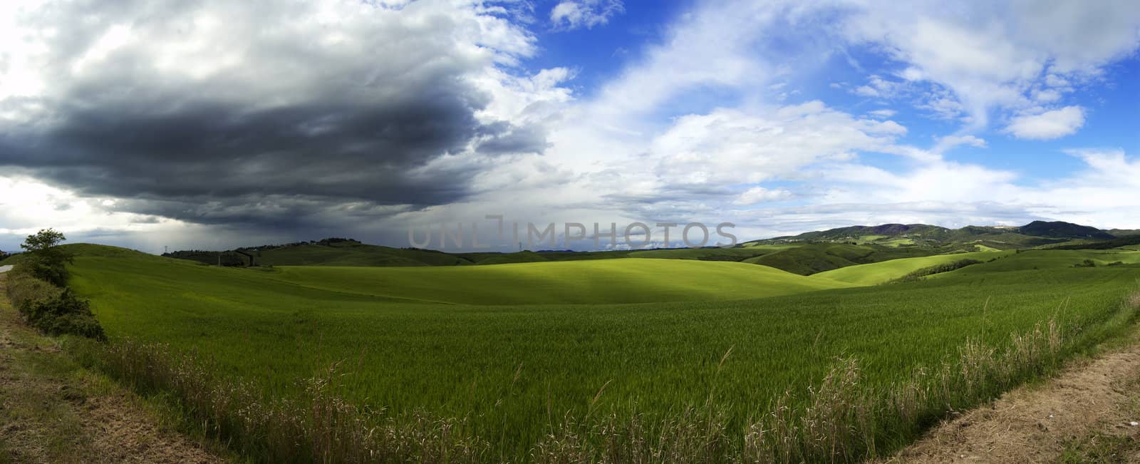 Panoramic fields by cla78