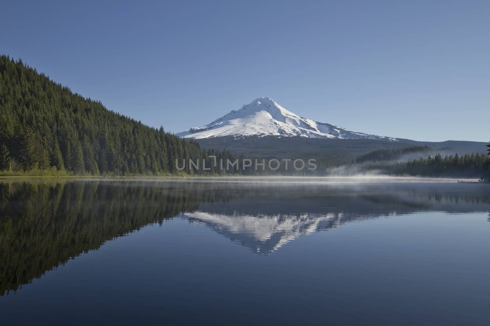 Mount Hood at Trillium Lake by Davidgn