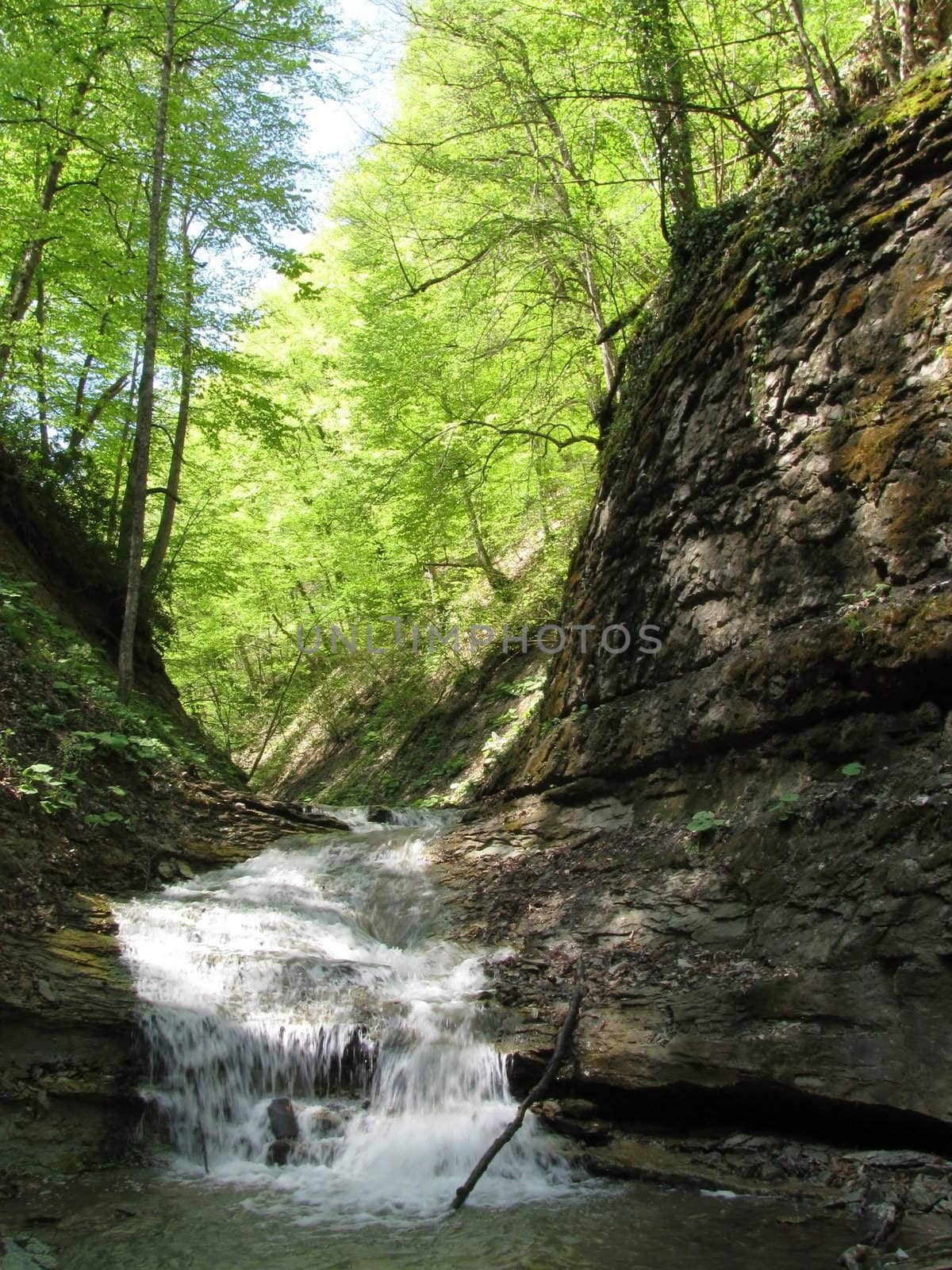Falls; the river; a stream; water; a moisture; beauty; Caucasus; Russia; the Europe