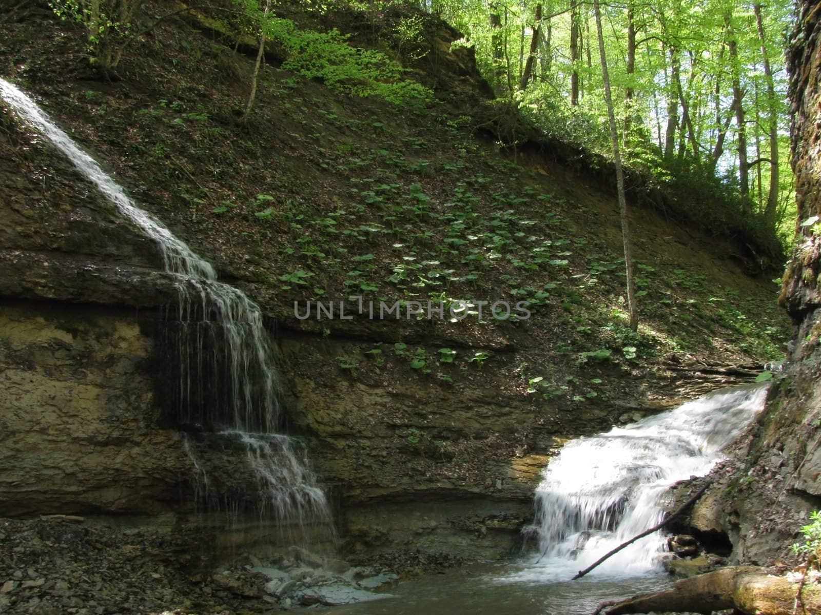 Falls; the river; a stream; water; a moisture; beauty; Caucasus; Russia; the Europe