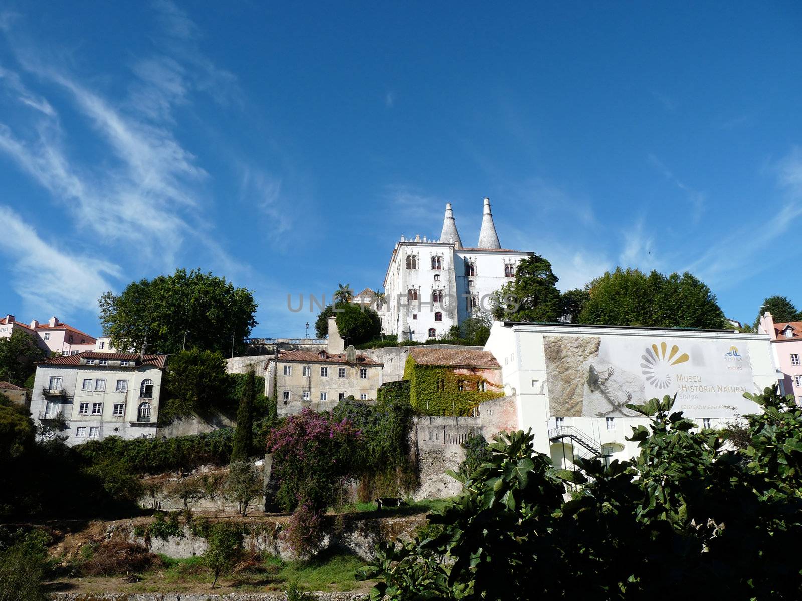 Sintra landscape