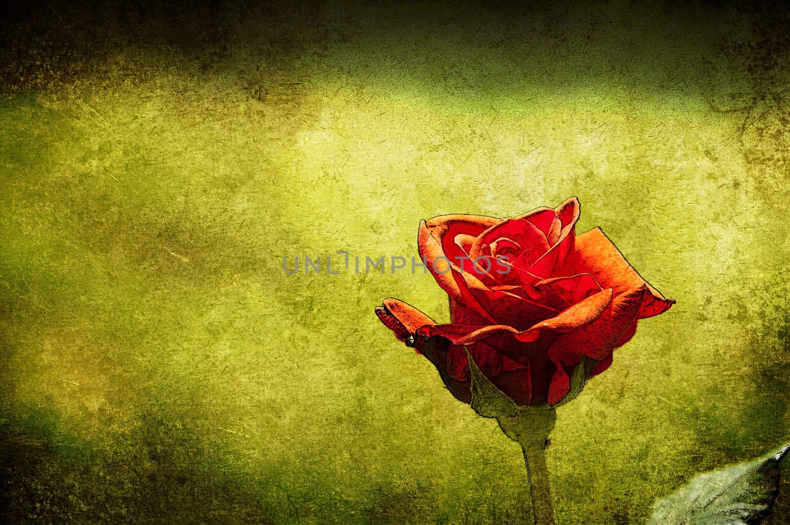 A red rose aged in a green grunge background