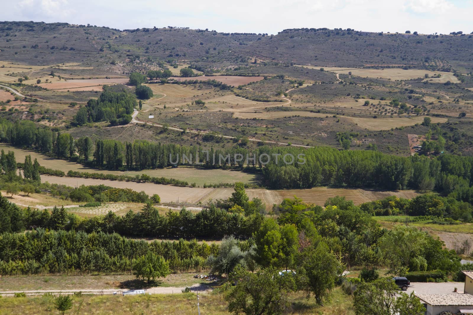 View along the river Tajo, with fields. Brihuega, Spain