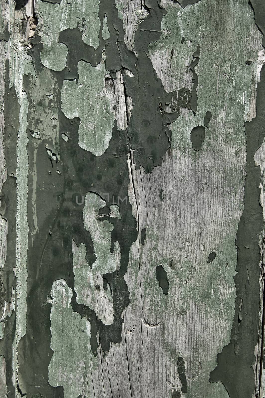 Cracked wood by cla78