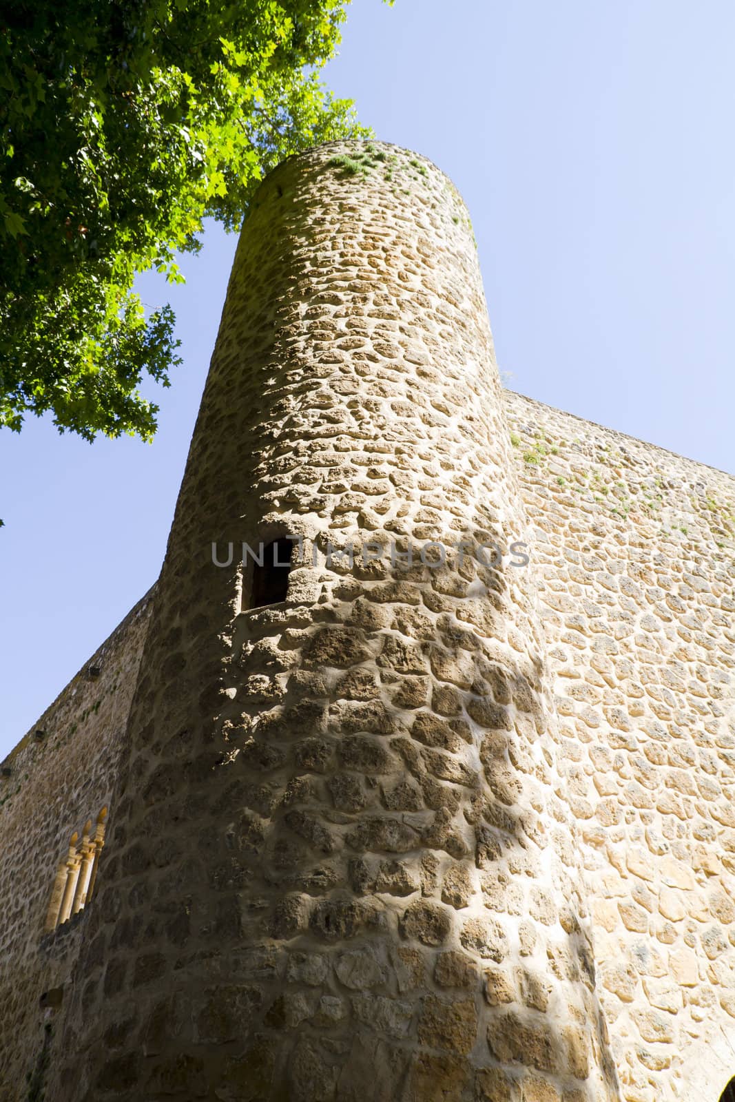 Piedra Bermeja Castle, In S. XII became fortified palace of feudal lords more like that of warriors.