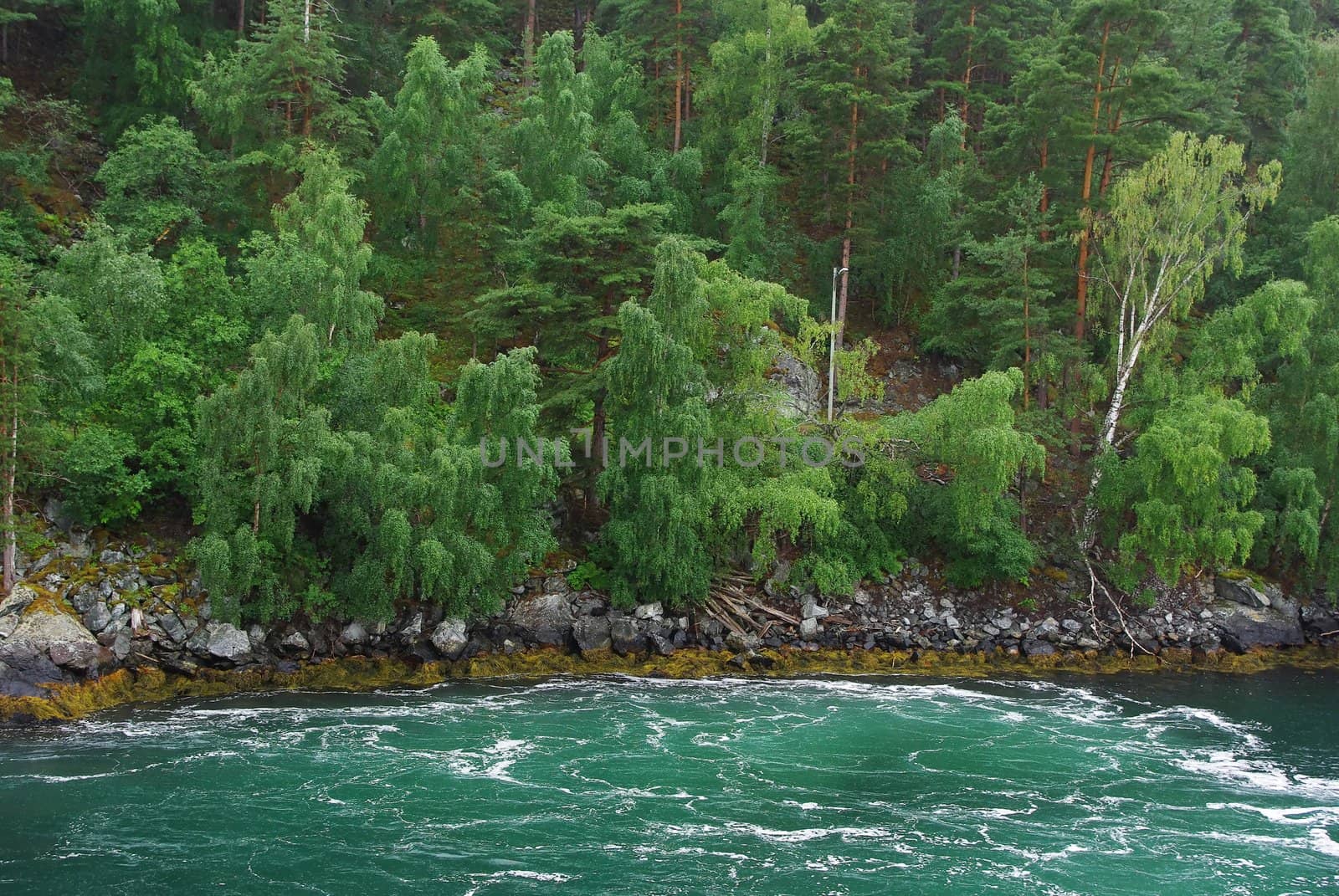 Beautiful colour water near the coastline of Sognefjord ,Norway