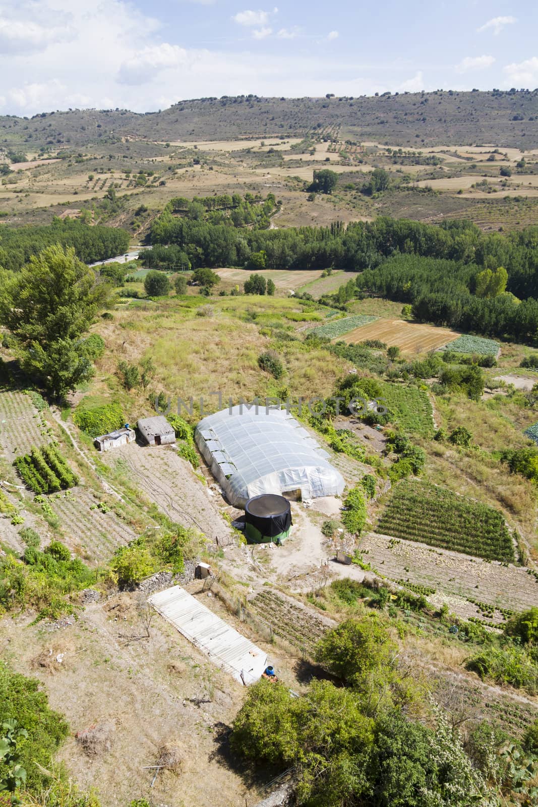 Cultivated land in a rural landscape, Brihuega, Spain