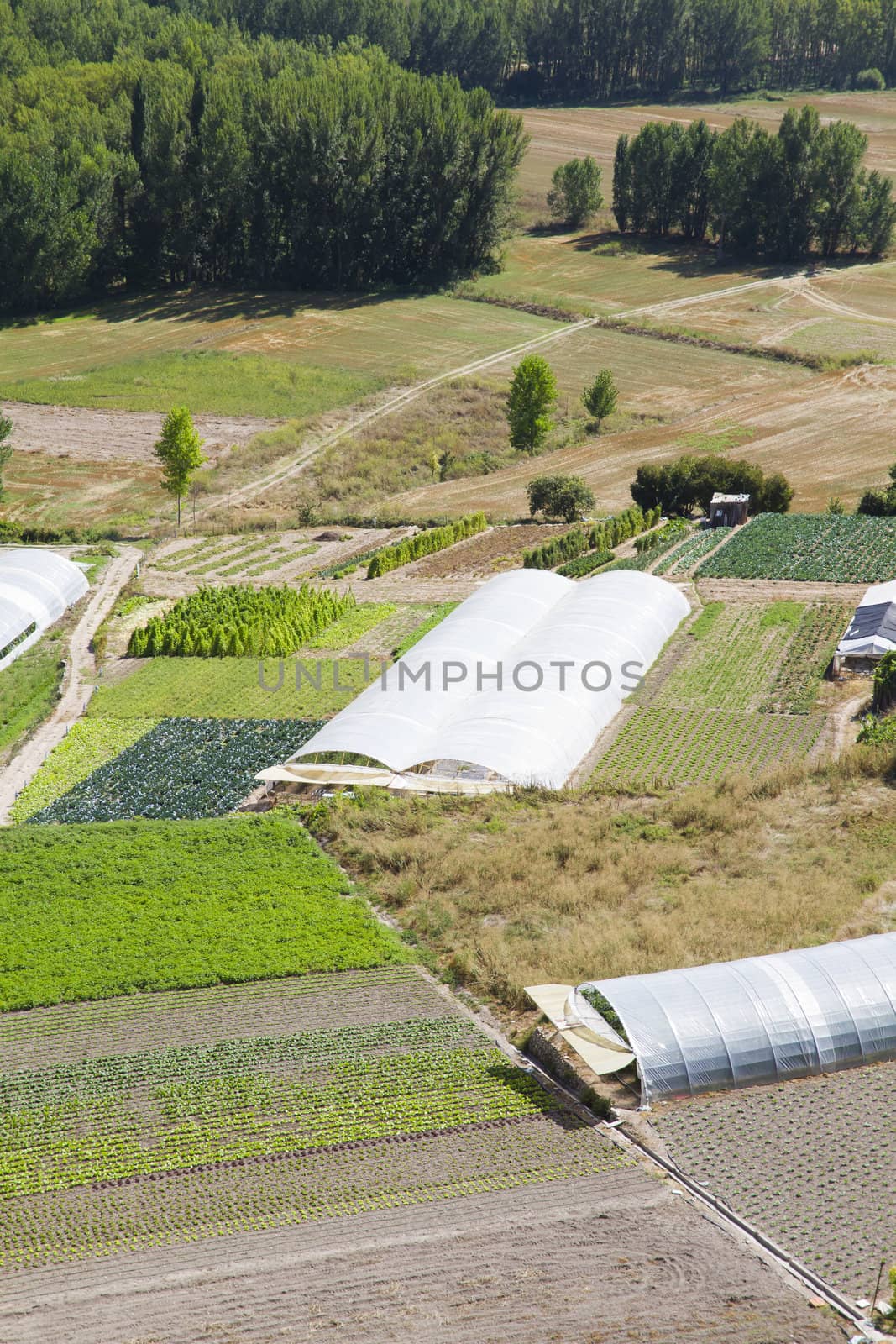 Cultivated land in a rural landscape, Brihuega, Spain