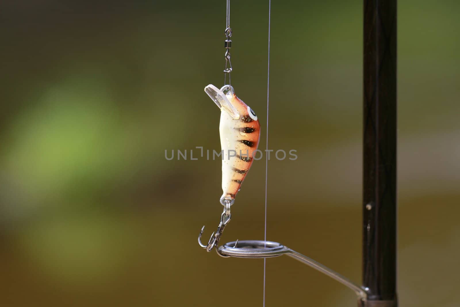 bait