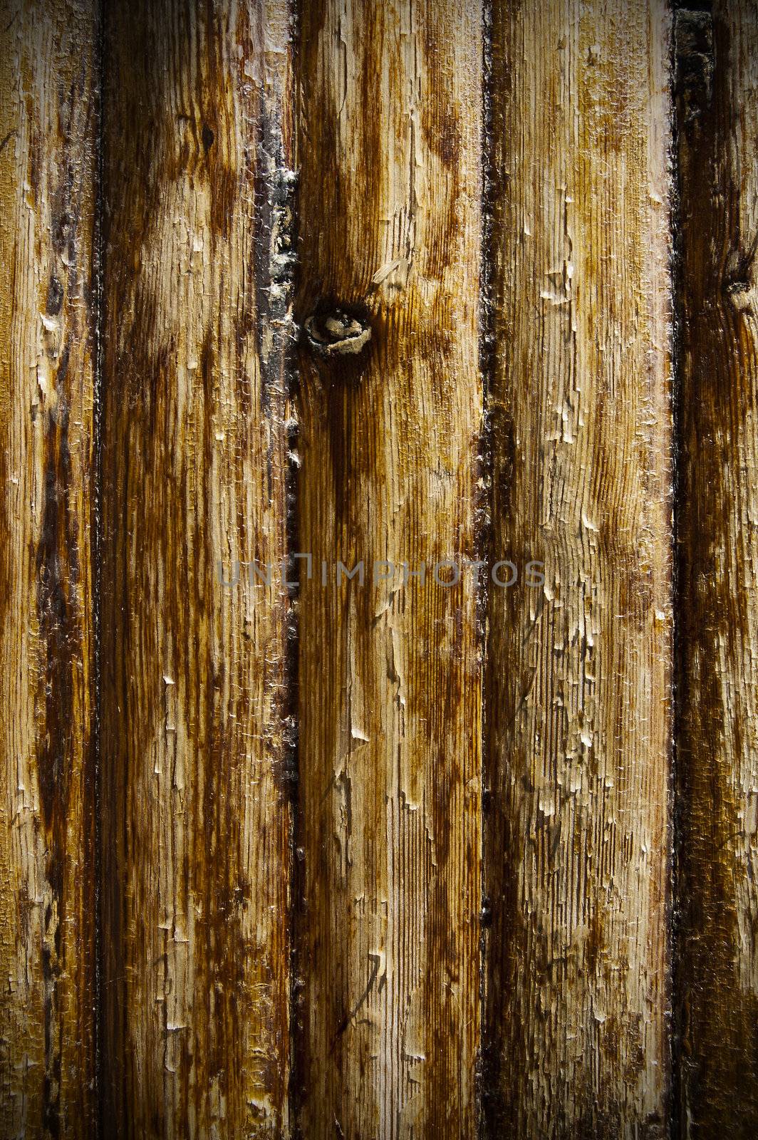 texture of wood by cla78