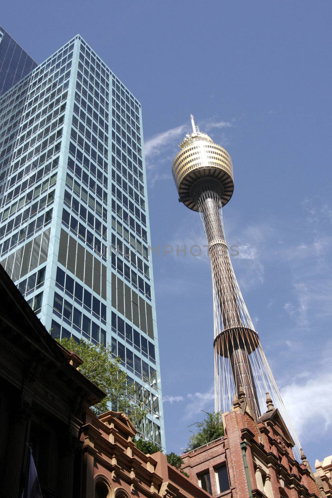 Sydney Tower by thorsten