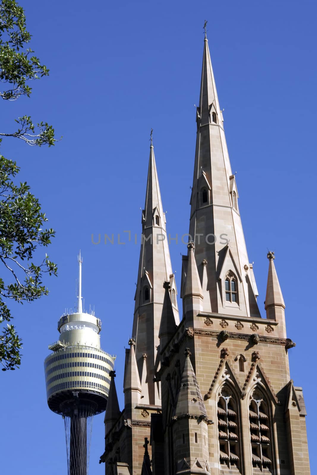 St. Mary's Cathedral & Sydney Tower, Australia - largest Roman Catholic church and largest building in Australia (and reputedly the Southern Hemisphere)