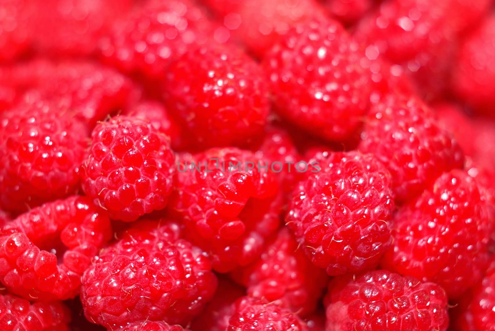 raspberry  by casaalmare
