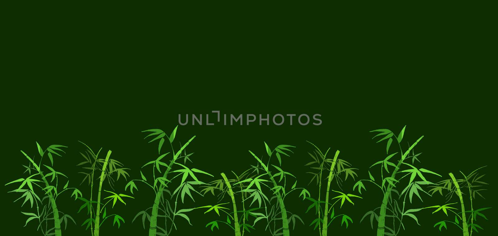 On green background the branches of bamboo