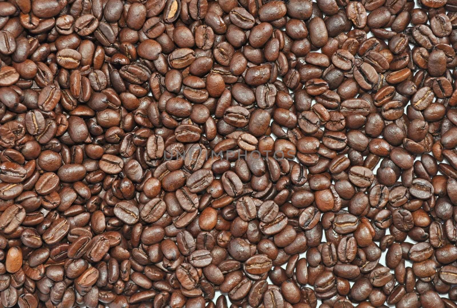 Many grains of Arab coffee
