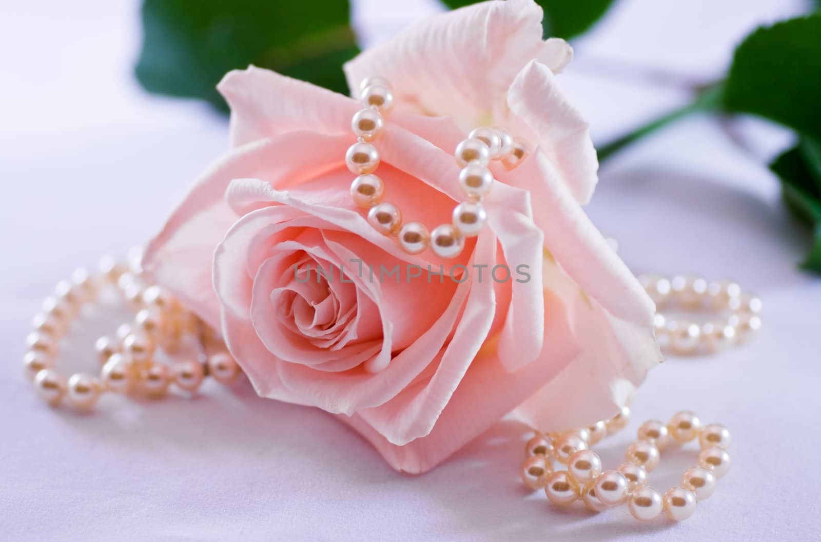 Pearl necklace and soft pink rose by Colette