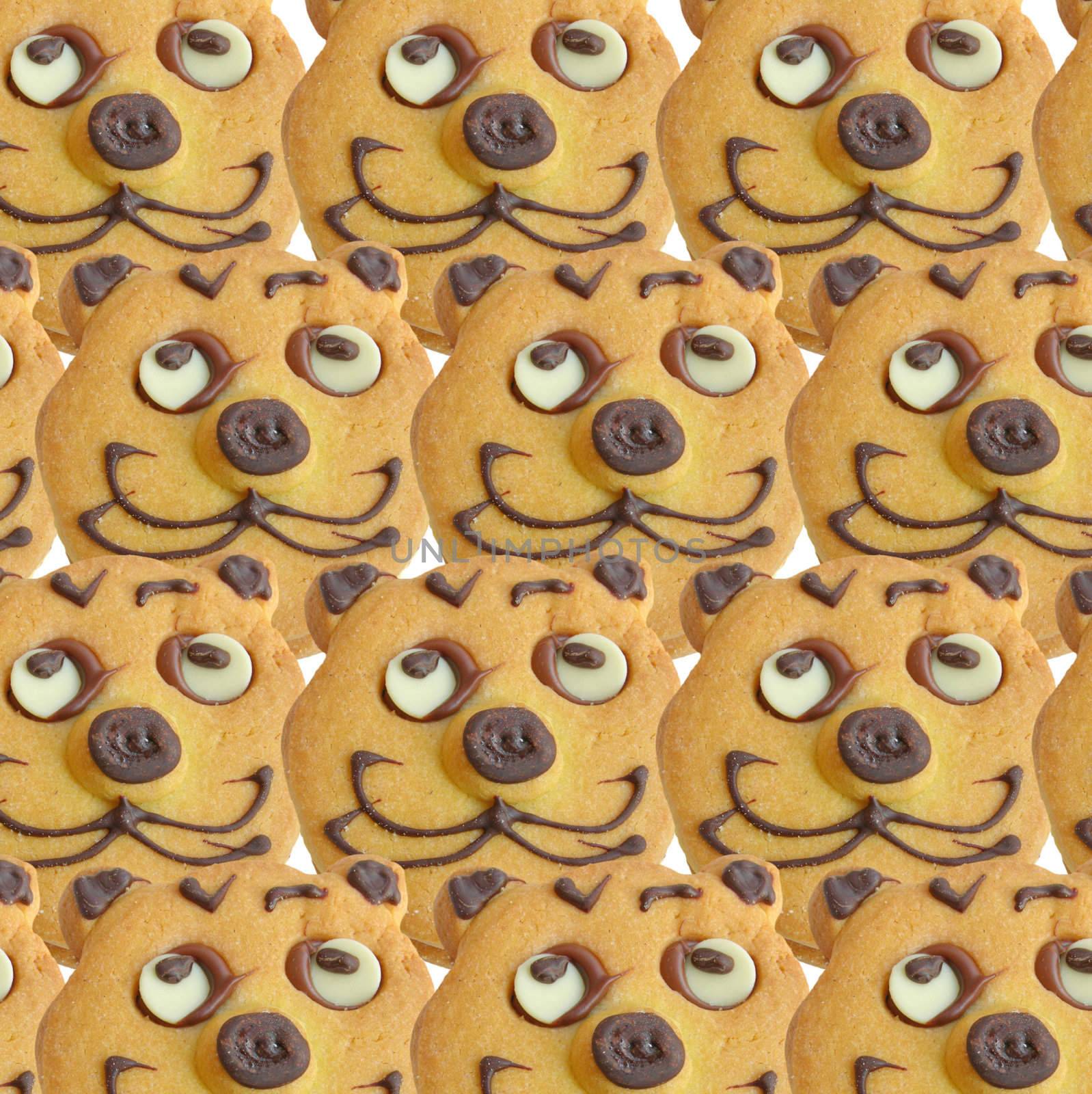 Range of homemade baked cookies with cat face isolated on white