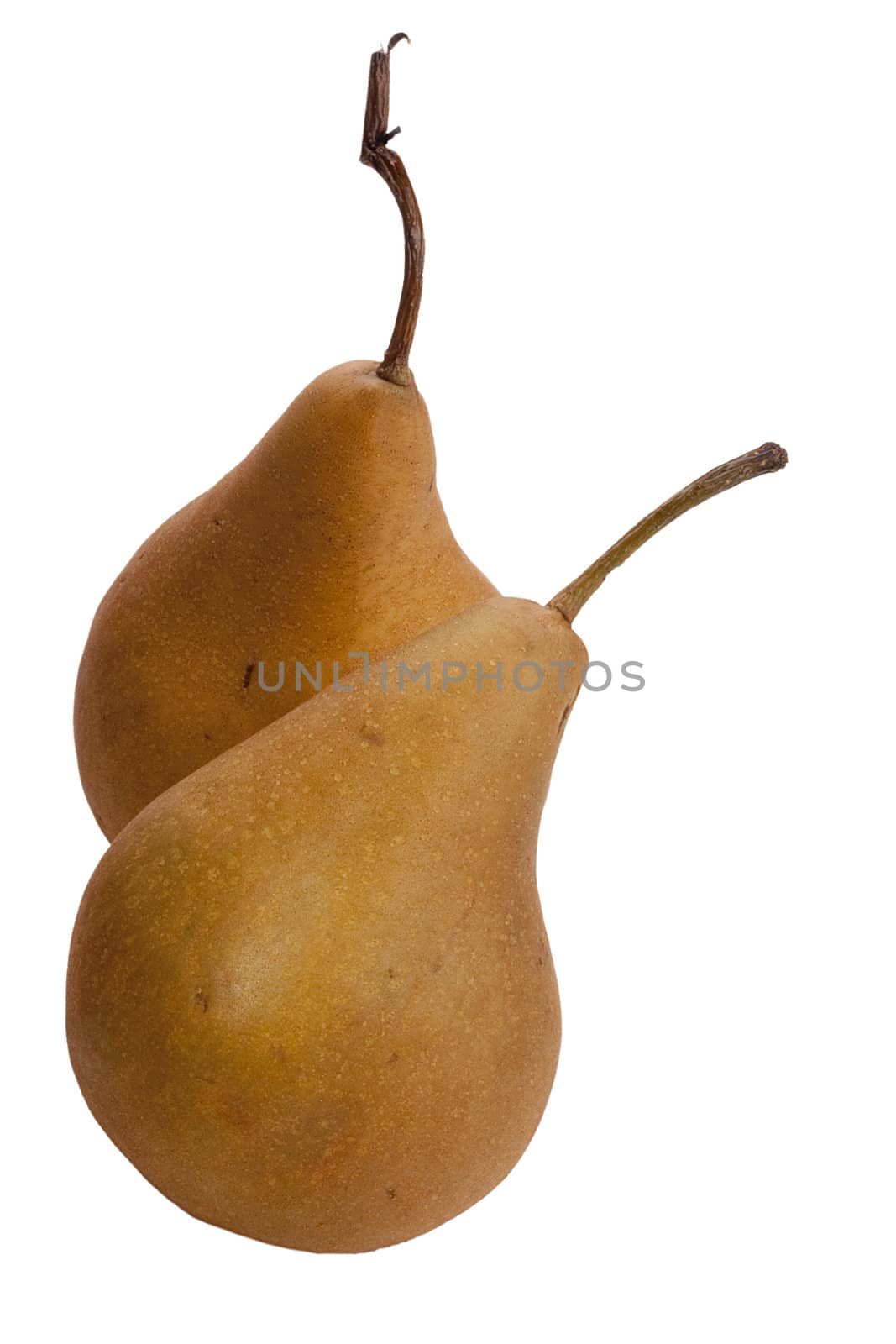 Flavovirent pears with a matte surface on a white background.