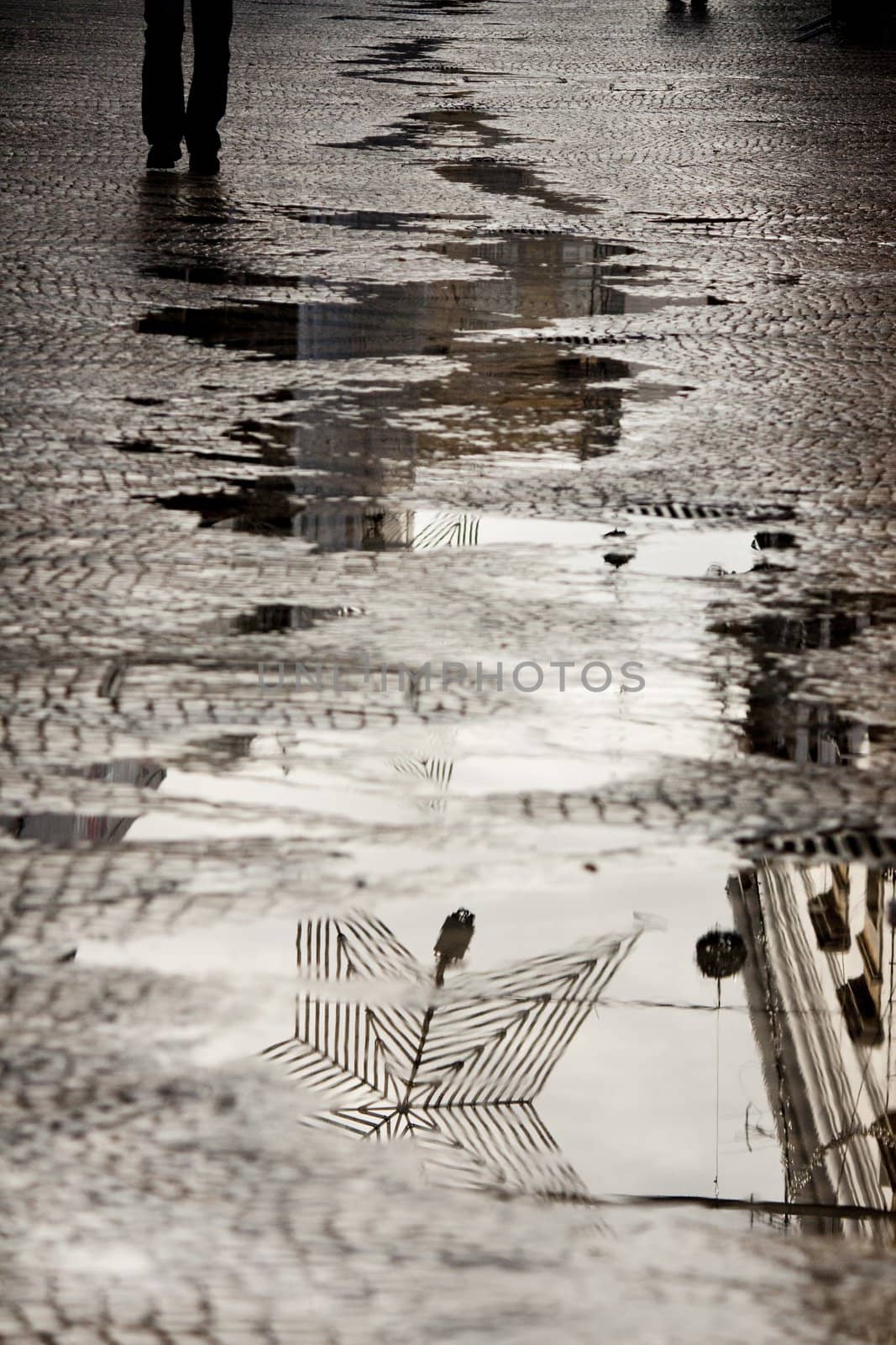 View of the water reflection on the coblestone street.