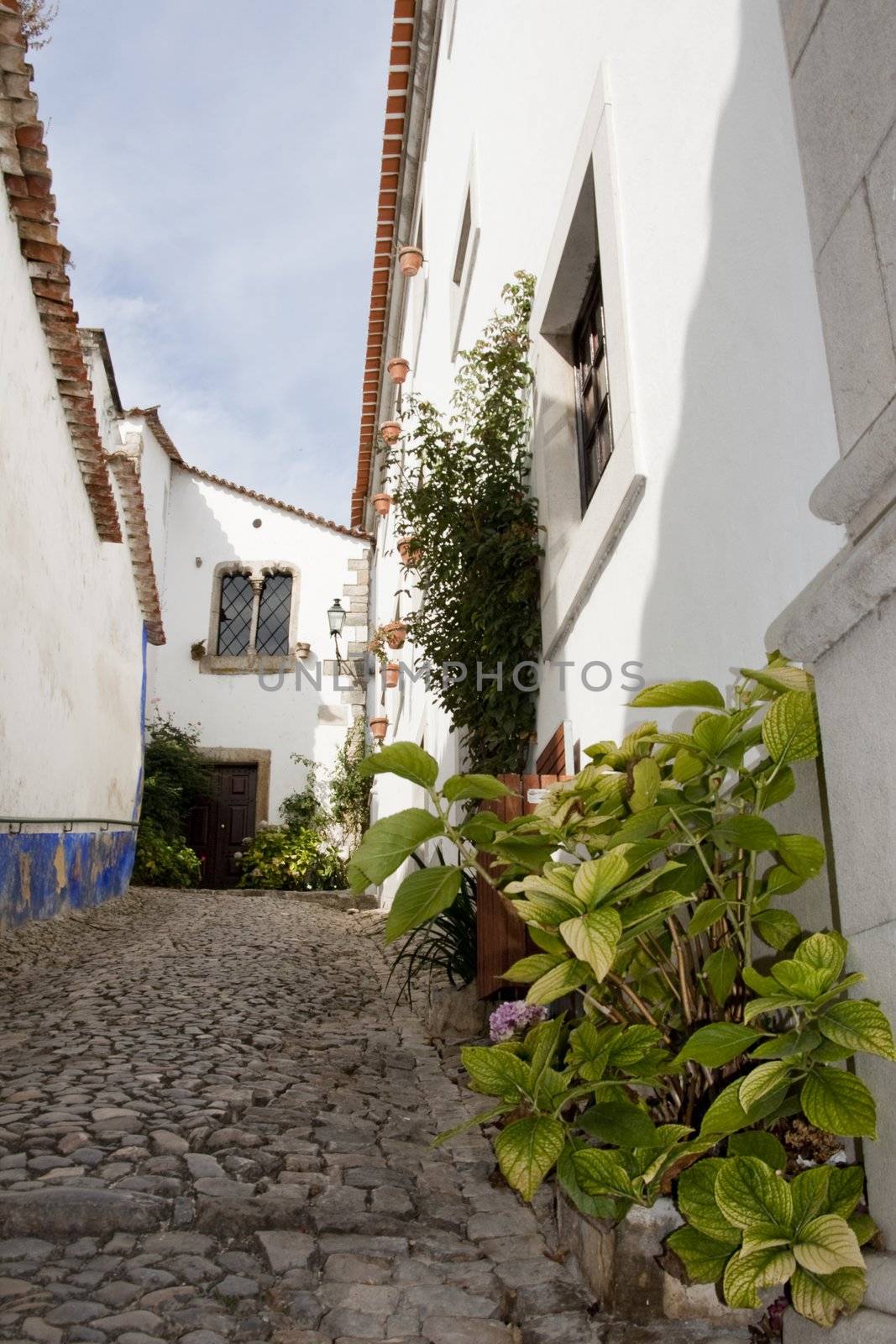 view of the typical streets of  the small village Obidos located on Portugal.