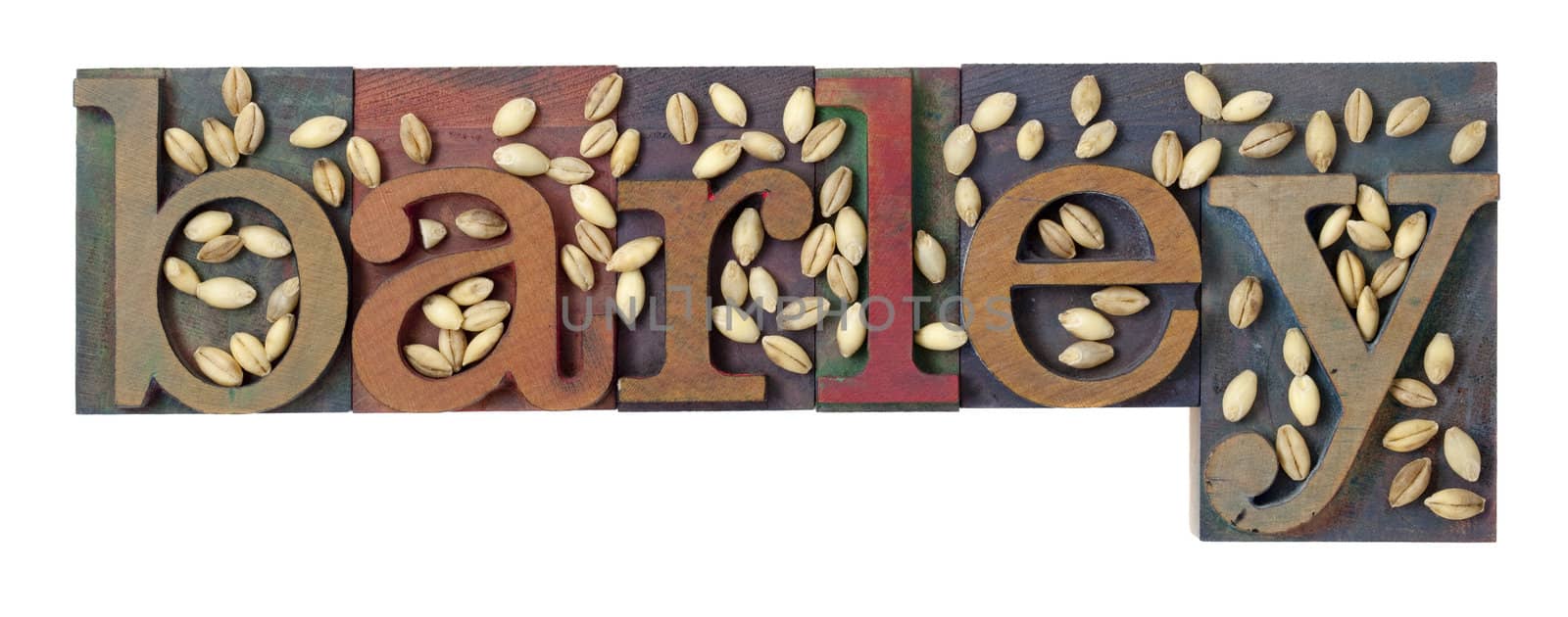 barley word and grain by PixelsAway