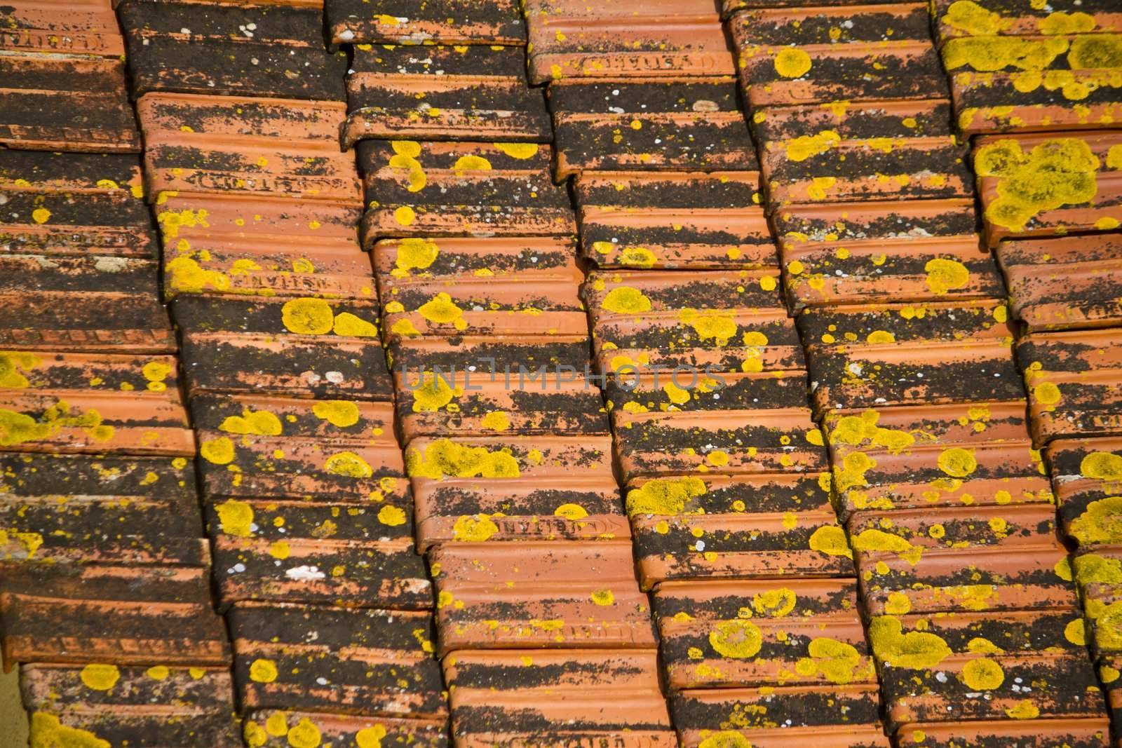 Close view of a red old tiled and dirty rooftop of a house. 